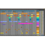 Colibry - Latin Urbano Ableton Template Maxi-Beat Music Studio - 3