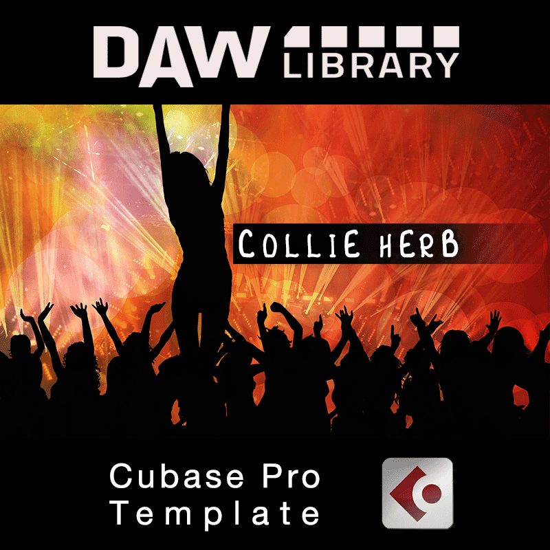 Collie Herb – Cubase Vorlage Maxi-Beat Music Studio - 1