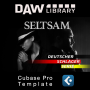 Seltsam – Cubase Vorlage Maxi-Beat Music Studio - 1